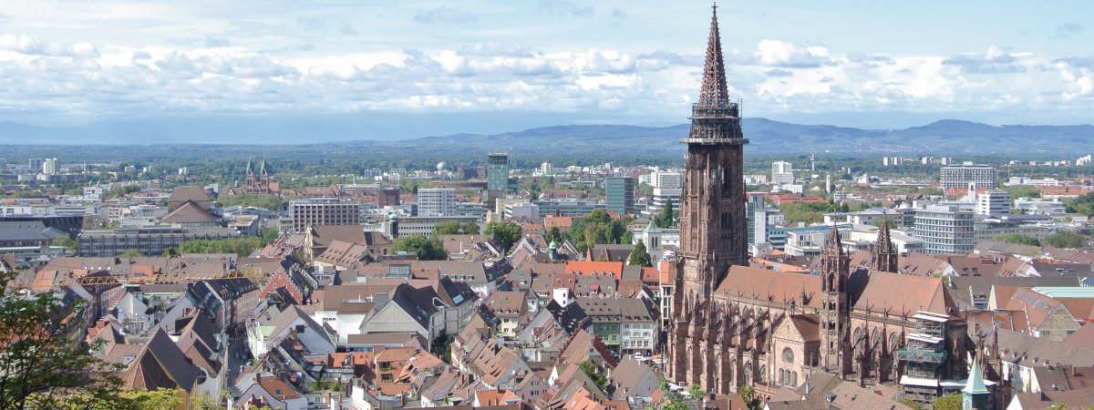 Blick auf Freiburg mit Münster &copy; pixabay.com/AshLM