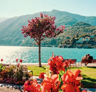 Am Ufer des Lago Maggiore in Ascona © Roman Babakin - stock.adobe.com